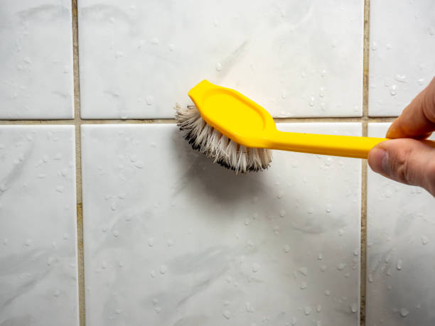Trusted Kean University, NJ Mold Removal Experts