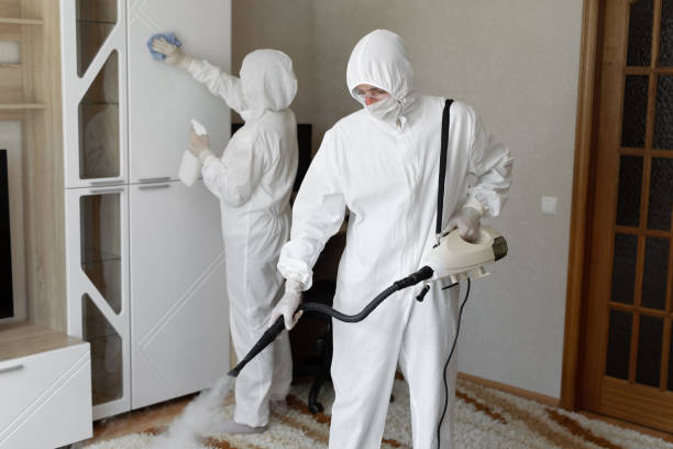 Best Local Mold Removal Service  in Kean University, NJ