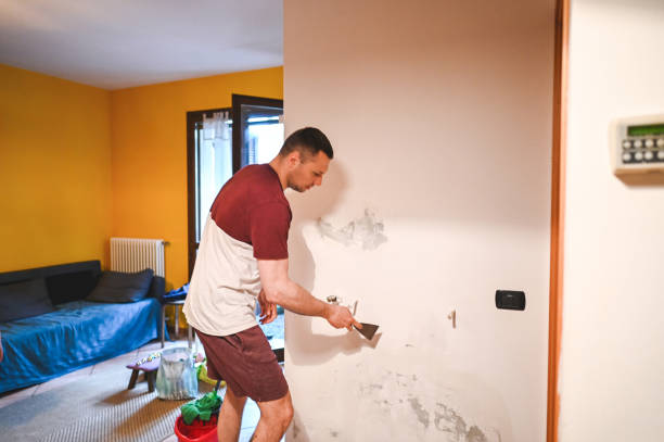 Best Mold Remediation  in Kean University, NJ