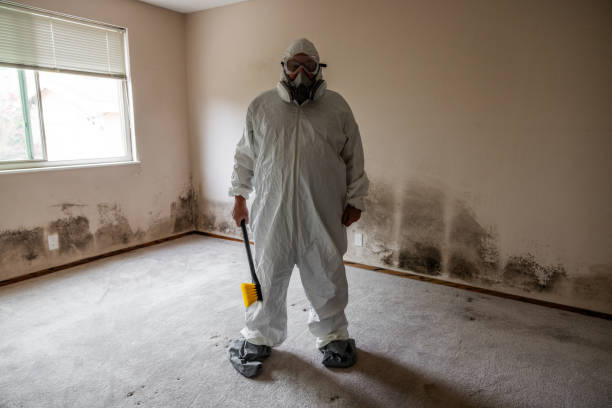 Best Commercial Mold Removal  in Kean University, NJ
